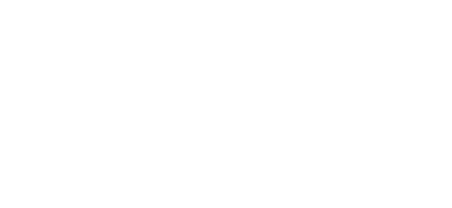 Veronique Slagerij